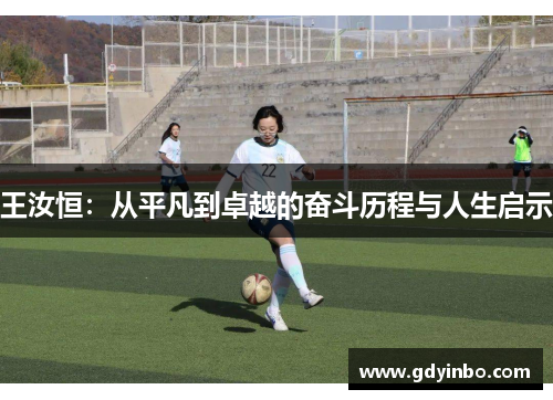 王汝恒：从平凡到卓越的奋斗历程与人生启示